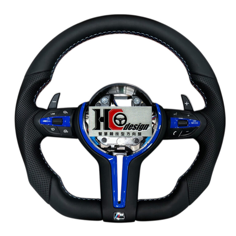 F10 NAPPA皮 左右握把透氣皮 丁字褲 藍色Y條